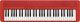 Casio CASIO CT-S1 RD - Keyboard 1