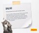 Josera Catelux Adult, z kaczką i ziemniakami 10kg 5