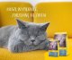 Josera Léger Adult Light 10kg 4