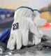 Ardon INDY - Rękawice skóra licowa bydlęca + dwoina bydlęca 08 1