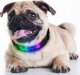 SMART COLLAR SMALL - Programowana/interaktywna obroża z kolorowym wyświetlaczem LED dla średnich i małych psów 3