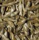 Tropical DRIED FISH PUSZKA 100ml 1