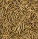 Tropical MEAL WORMS 250ml PUSZKA 1