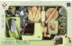 Mega Creative MASA PLASTYCZ MAKARON AKC 45X29X11 MC REAL WB 24 1
