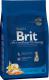 Brit Premium Kitten 300g 1