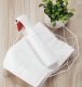 OEM Butelka z atomizerem rozpylacz spryskiwacz Xiaomi Yijie YG-01 300ml 3