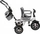 Kontext Rowerek Trójkołowy Trike Fix V3 szary 11