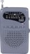 Radio Trevi Radio Trevi RA710 grey 1