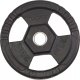 SKO Disck Toorx DGG-TG25 25 kg 1