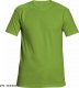 CERVA TEESTA - t-shirt - butelkowa zieleń XL 12