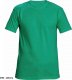 CERVA TEESTA - t-shirt - butelkowa zieleń XL 15