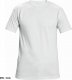 CERVA TEESTA - t-shirt - butelkowa zieleń XL 4