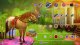 Horse Club Adventures (NSW) 4