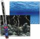 Aqua Nova TŁO S 60X30 ROOTS/WATER 1