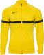 Nike Dres męski Nike Dri-FIT Academy żółto czarny 1