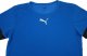 Puma Zestaw męski koszulka i spodenki Puma teamRISE 3