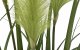 Witek Home Kwiat w doniczce trawki 80cm 2