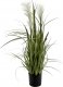 Witek Home Sztuczny kwiat w doniczce 80 cm 1