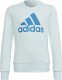 Adidas Bluza adidas Big Logo SWT HM8707 1