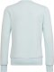 Adidas Bluza adidas Big Logo SWT HM8707 1