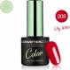 Cosmetics Zone Lakier hybrydowy hipoalergiczny czerwony 7ml - Dry Wine 008 1