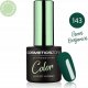 Cosmetics Zone Lakier hybrydowy hipoalergiczny butelkowa zieleń 7ml - Green Benjamin 143 1