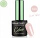 Cosmetics Zone Lakier hybrydowy hipoalergiczny kolor kremowy 7ml - Sweet Halva 184 1