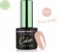 Cosmetics Zone Lakier hybrydowy lakier kolorowy K001 Creamy Vanilla 7 ml 1