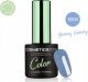 Cosmetics Zone Lakier hybrydowy hipo niebieski z czarnymi drobinkami K004 - Yummy Gummy 1