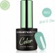 Cosmetics Zone Lakier hybrydowy hipo szary z czarnymi drobinkami K005 - Magic Chia 1