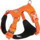 Truelove Szelki easy walk dla psa Truelove Adventure Soft pomarańczowy XS 1