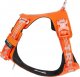 Truelove Szelki guard dla psa Truelove Adventure Dog pomarańczowy XL 2