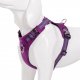 Truelove Szelki wodoodporne dla psa Truelove Adventure Dog fioletowy S 3