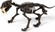 Clementoni Clementoni Smilodon Zbuduj szkielet tygrysa ZA3713 2