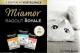 Miamor Miamor pakiet Mix w galaretce - 12x100g 1