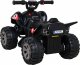 Ramiz Pojazd Quad THE FASTEST Czarny 5
