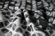 Yaro Slings Chusta tkana Yaro Slings - Petals Ultra Black White Grey Tencel 5 (4.2 m.) 18
