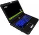 Laptop MSI WT60 20K 4K Edition (0016F4-SKU23) 1