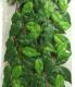 Hagen EXOTERRA ROŚLINA FICUS L 2