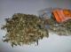 Herbal Pets ZIOŁA PODSTAWOWE MYSZOSKOCZEK 1