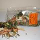 Herbal Pets KARMA ZIOŁA-WARZYWA ŚWINKA 1