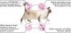 Purina Pro Plan PURINA Pro Plan Delicate Turkey&Rice 10kg +Karma mokra Schesir 2x 85g GRATIS 2