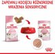Royal Canin ROYAL CANIN Kitten pasztet 12x85g karma mokra - pasztet dla kociąt do 12 miesiąca życia + Royal Canin Piłeczka dla kota GRATIS 7