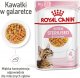Royal Canin ROYAL CANIN Kitten Sterilised 12x85g karma mokra w galaretce dla kociąt do 12 miesiąca życia, sterylizowanych + Royal Canin Piłeczka dla kota GRATIS 1