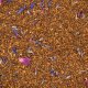 Brat Herbata Rooibos - Lawendowe Wzgórze 100g Z DODATKIEM LAWENDY, PŁATKÓW CHABRA ORAZ RÓŻY 2