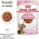 Royal Canin ROYAL CANIN Kitten Sterilised 12x85g karma mokra w sosie dla kociąt do 12 miesiąca życia, sterylizowanych + Royal Canin Piłeczka dla kota GRATIS 1