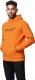 McLaren F1 Team Bluza męska Hoodie Essentials Orange McLaren F1 2022 XXL 2
