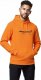 McLaren F1 Team Bluza męska Hoodie Essentials Orange McLaren F1 2022 XXL 5