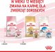 Royal Canin ROYAL CANIN Kitten Instinctive w sosie 12x85g karma mokra w sosie dla kociąt do 12 miesiąca życia + Royal Canin Piłeczka dla kota GRATIS 11