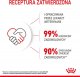 Royal Canin ROYAL CANIN Kitten Instinctive w galaretce 12x85g karma mokra w galaretce dla kociąt do 12 miesiąca życia + Royal Canin Piłeczka dla kota GRATIS 12